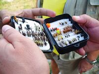 Жаркое море и слабая рыбалка у Дюни-Алепу: 15 платерин с сыном и муха на Тундже