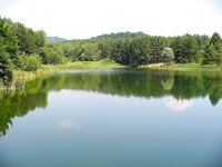 Жаркое море и слабая рыбалка у Дюни-Алепу: 15 платерин с сыном и муха на Тундже