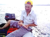 Рекорд по ставриду: «Морские волки» дали до 25 кг на промысле — горячий проход