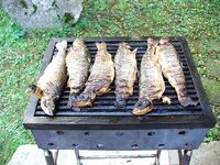 Снасти Черного моря без экзотики: сбиролино, самодур, нереис и креветка