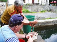 Снасти Черного моря без экзотики: сбиролино, самодур, нереис и креветка