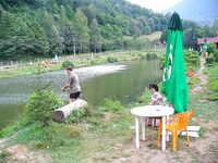 Снасти Черного моря без экзотики: сбиролино, самодур, нереис и креветка