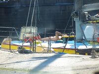 Несебр с друзьями из Варны: северо-восток, мелкая ставрида и лодку не спустили