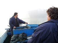 Бургасский залив в туман: открытая вода без рыбы, длинный самодур не спас