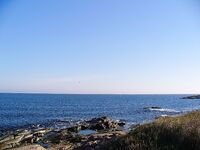 Черноморец на рассвете: самодур, паламида мимо и восемь сарганов вместо мечты