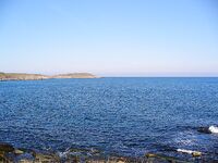 Черноморец на рассвете: самодур, паламида мимо и восемь сарганов вместо мечты