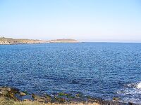 Черноморец на рассвете: самодур, паламида мимо и восемь сарганов вместо мечты