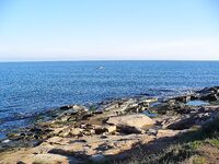 Черноморец на рассвете: самодур, паламида мимо и восемь сарганов вместо мечты