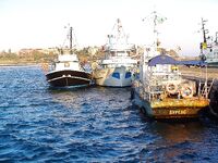 Первый снег у моря: сильный западный ветер, Несебр и покупка свежей барабульки