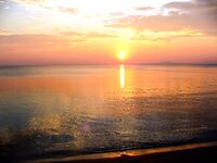 Последние дни «цыганского лета»: тёплая вода, пустой пляж и бешеный пеленгас