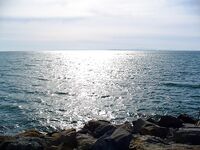 Куда ушла рыба при юго-западном ветре: Несебр и Поморие без клева два дня подряд