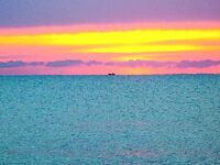 Куда ушла рыба при юго-западном ветре: Несебр и Поморие без клева два дня подряд