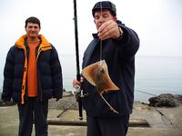 Перла, Маслен нос, Коракя — туман, восток и толпа на камнях