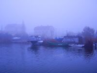 Днестровская банка — наконец попал: 7 кг бычка и катран под занавес