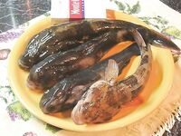 Днестровская банка — наконец попал: 7 кг бычка и катран под занавес