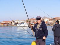 Несебър без калкана, зато паламида-цыганка в японском порту