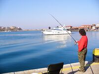 Несебър без калкана, зато паламида-цыганка в японском порту