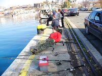 Несебър без калкана, зато паламида-цыганка в японском порту