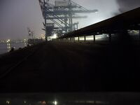 Несебър без калкана, зато паламида-цыганка в японском порту