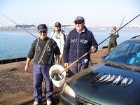 Несебър без калкана, зато паламида-цыганка в японском порту