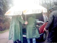 Фотографий было много — четыре камеры и свыше пятисот кадров