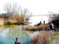 Озеро Мандра выручают — бибан, судак, плотва и прочее