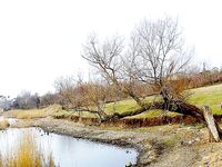 Озеро Мандра выручают — бибан, судак, плотва и прочее