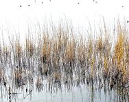 Озеро Мандра выручают — бибан, судак, плотва и прочее