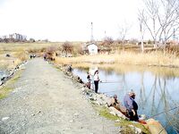 Озеро Мандра выручают — бибан, судак, плотва и прочее