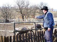 Болгария — саргана рано, ушли в горы, пурга и безрыбье