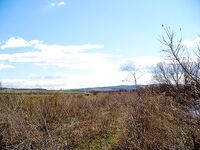 Порт Бургас, лето 2006 — морской судак на «дворнягу» и дуэль с Доцентом