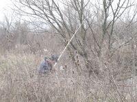 Порт Бургас, лето 2006 — морской судак на «дворнягу» и дуэль с Доцентом