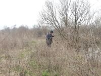 Порт Бургас, лето 2006 — морской судак на «дворнягу» и дуэль с Доцентом