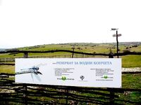 Грудовская река — ветер СВ, до полудня рыбалка и резерват с «водной лошадкой»