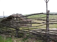 Грудовская река — ветер СВ, до полудня рыбалка и резерват с «водной лошадкой»