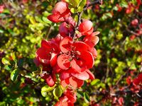 Весна к берегу — море и прибрежные лиманы оживают