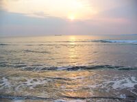 Весна к берегу — море и прибрежные лиманы оживают