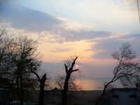 Весна к берегу — море и прибрежные лиманы оживают