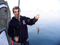 Цветение планктона, море бурое — ушёл на реку за костуром