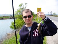 Цветение планктона, море бурое — ушёл на реку за костуром