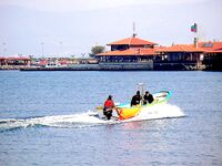 Цветение планктона, море бурое — ушёл на реку за костуром