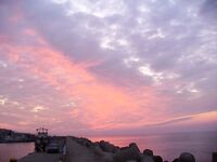 Цветение планктона, море бурое — ушёл на реку за костуром