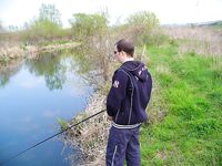 Цветение планктона, море бурое — ушёл на реку за костуром