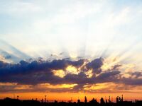 14–15 апреля — бычки и атерина, фотоотчёт из порта Бургас