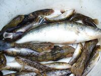 Порт Бургас 22.04.2007 — короткая отметка по выходу