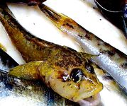 Порт Бургас 22.04.2007 — короткая отметка по выходу