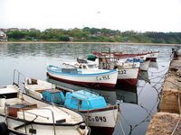 Бургас, дожди и самодур: ставридка любит плохую погоду