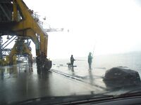 Бургас, дожди и самодур: ставридка любит плохую погоду