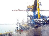 Бургас, дожди и самодур: ставридка любит плохую погоду