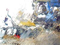 Бургас, дожди и самодур: ставридка любит плохую погоду